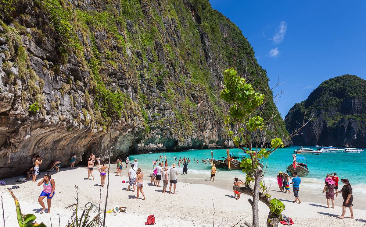 Maya Bay crowded with boats on a high-season day